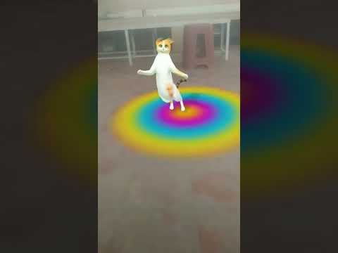 Brown Munde Cat Dance Beautiful Viral Shorts #trending #viral #youtubeshorts #shorts