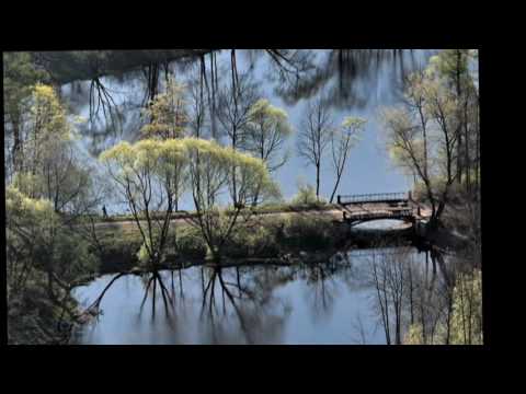 Người như cố quên Sheet - Tuấn Ngọc