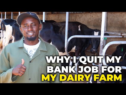 The Art of Modern Dairy Farming: This Is How I Built My Dairy Farm