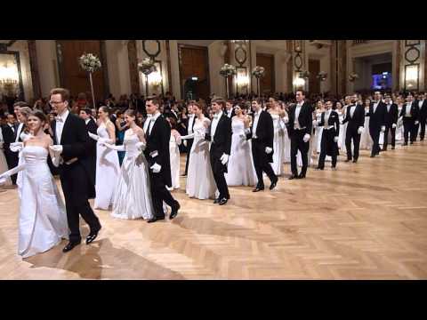 WU Ball 2015 Wien, Einzug Komitee