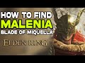 How To Find Malenia Blade Of Miquella In Elden Ring Malenia Location Guide