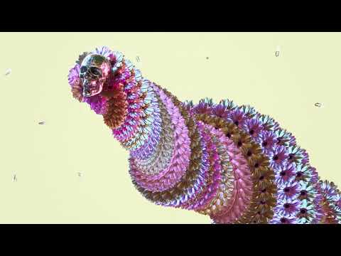 TIBASKO - Only You (Official Video)