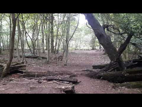 Forest jump line Cathkin Breas