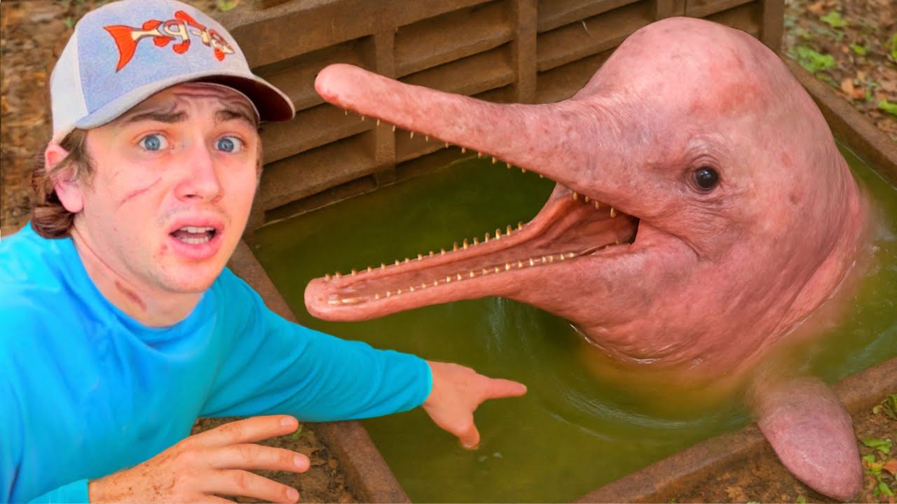 I Found Dolphins in a Sewer!