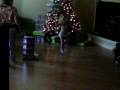 Nove Dec 2008 086