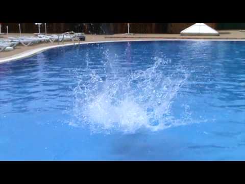 Buruienesti la Paradis Flick  by Ady