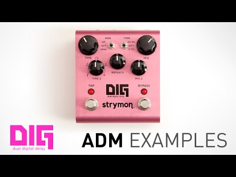 Strymon DIG - ADM Audio Examples - Dual Digital Delay