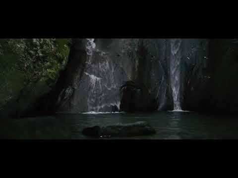 Raphael Treza - Penan Flute - Borneo Death Blow Soundtrack