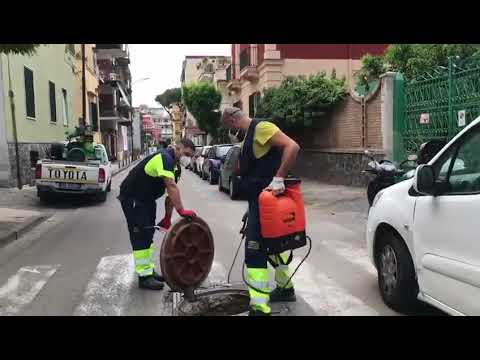 Portici (NA) - Cuomo: "Deblattizzazione e derattizzazione" (20.07.20)