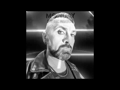 Shellshocked Radio Recommendations - Synthetic Mushdrum - We'll Come Back - Cold Wave, Minimal Synth