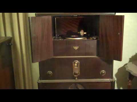 THE KNICKERBOCKERS BEN SELVIN - THE ORIGINAL CHARLESTON - ROARING 20'S VICTROLA RADIOLA 7-11