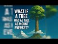 What If a Tree Was as Tall as Mount Everest?   That is 9 kilometers.