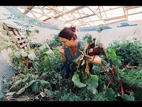 Swimming Pool Turned Into GARDEN Paradise Video