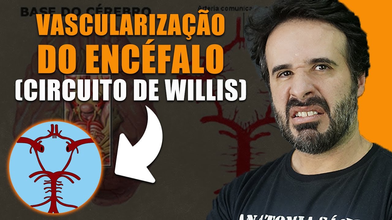 CIRCUITO DE WILLIS NÃO PERCA MAIS TEMPO DECORANDO!