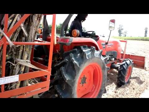 Close look to sugarcane planter