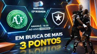 GLOBO ESPORTE BOTAFOGO/ AMANHÃ TEM BRASILEIRÃO. 