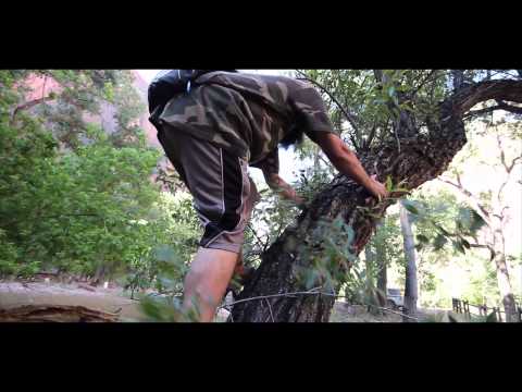 Project Hick Official Trailer