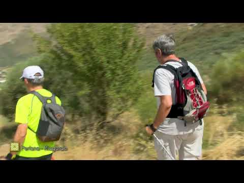 Gran Senda de M�laga. Etapa 9: Periana-Riogordo