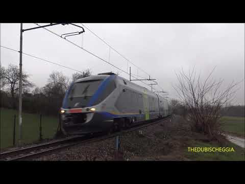 MINUETTO D. IN DOPPIA IN TRANSITO NEL CURVONE DI BORGO S.  DALMAZZO. (CN) SAB. 6 - 3 - 2021.