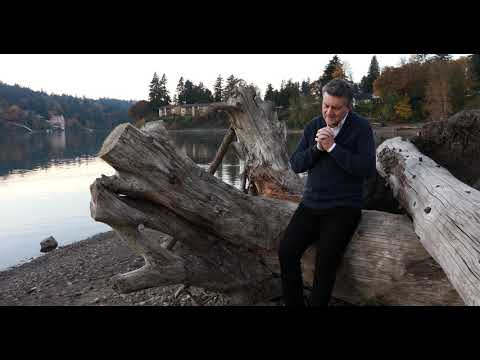 Dan Damian - AI MILĂ (Official Video) #dandamian #aimila #tâlharul #iertare #har #Luca23