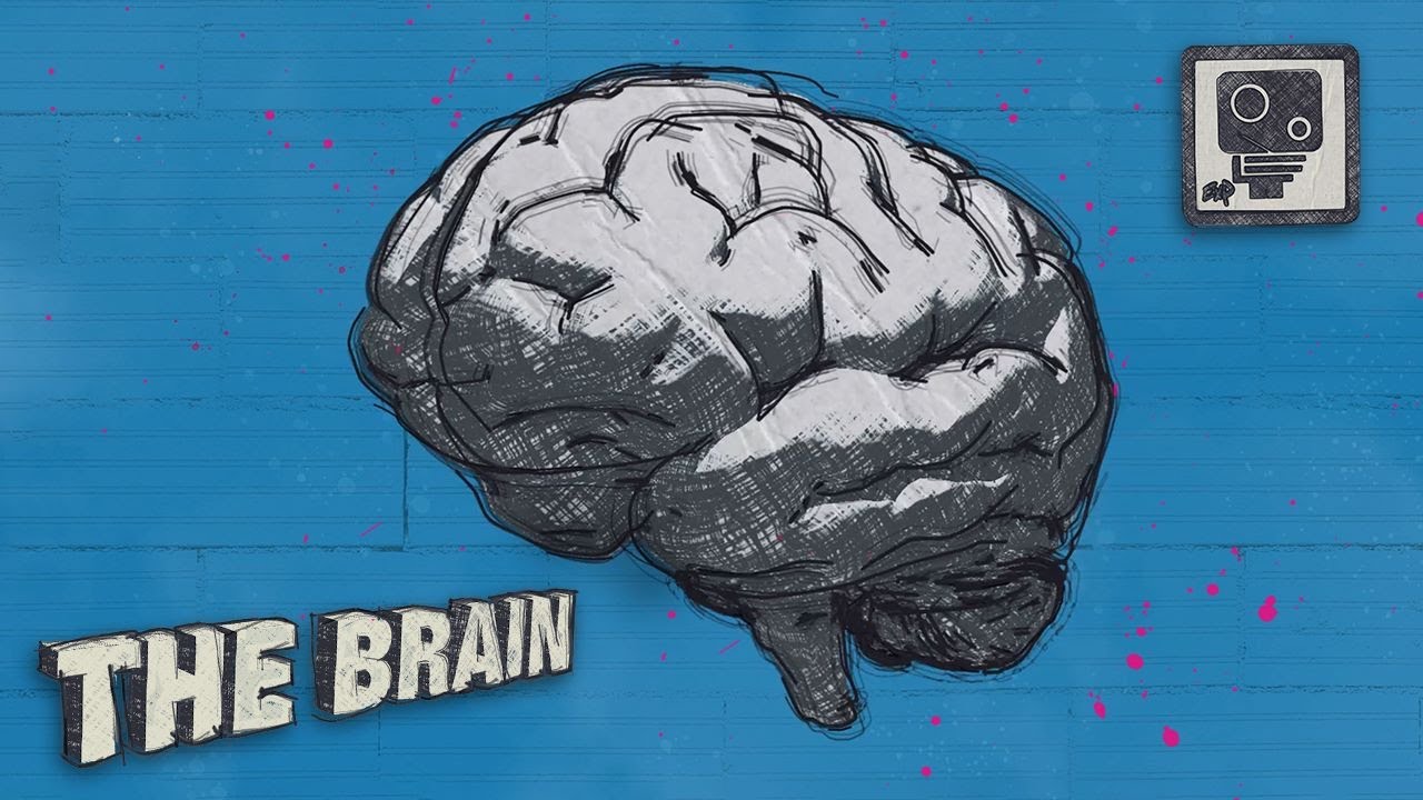 ExP - The Brain (Spillz remix)