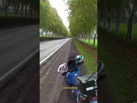 rota dos plátanos boa vista das missões RS  #riograndedosul #paisagemnatural #natureza #moto