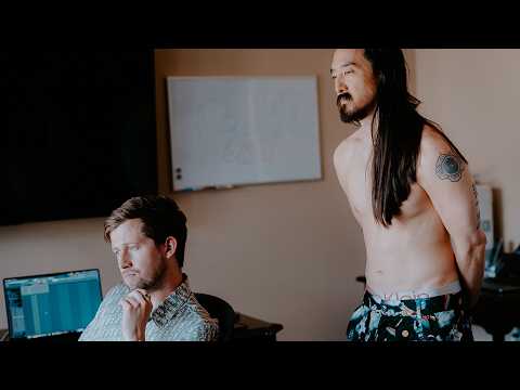 Alan Walker and Steve Aoki