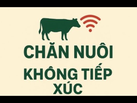 Hướng dẫn thực hiện chăn nuôi không tiếp xúc - Mr Bach_23_09_2025
