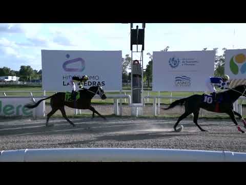 221216 c08 - BELLA WATCH - HIPODROMO LAS PIEDRAS