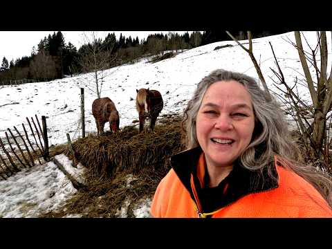 ❄️Es taut + Me/CFS crash 🐕Odin, die🐴Pferde | Echtzeit, Leben in Norwegen