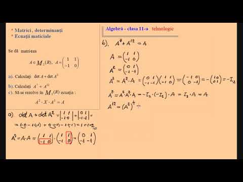 Matrices and determinants - Grade 11 (Solved exercises)