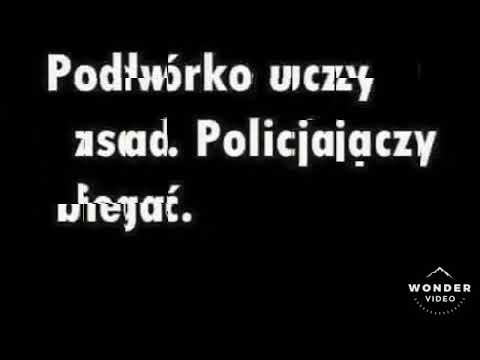 WZK & ZRK -Nie tędy droga Feat PGRU