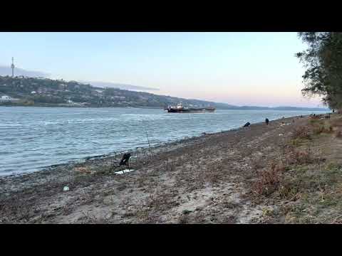 La Dunare in zona port Oltenita ,apa foarte scazuta pescuit la caras