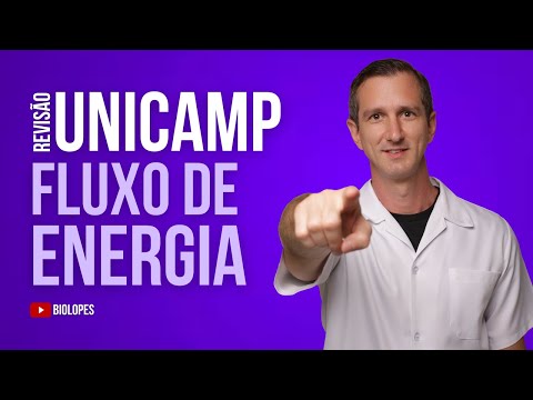 UNICAMP 2023 - As relações ecológicas podem ser representadas por modelos de fluxo de energia