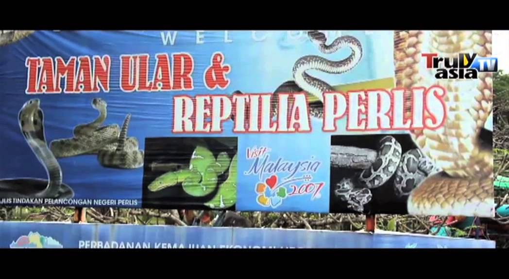 Reality Series--A Day Trip to Kangar - RS