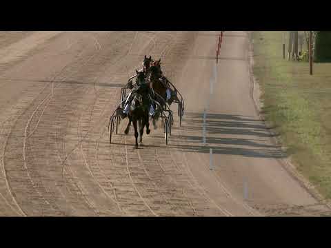 2021.10.02. 05. futam - NANÁ DÍJ