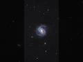 Galaxy Through My Telescope (M100) #astrophotography #telescope #galaxy