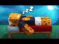 1 Hour Of Minecraft Facts To Help You Sleep