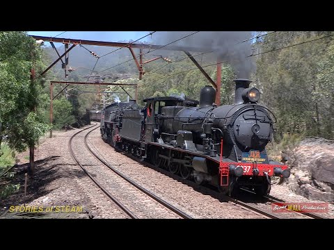 Australian steam locomotives 3237 & 5917 double heading up Cowan bank - November 2014