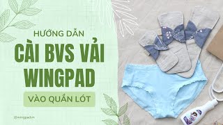 HƯỚNG DẪN CÀI BĂNG VỆ SINH VẢI WINGPAD VÀO QUẦN LÓT