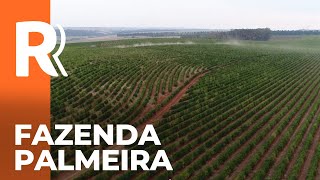 Miniatura do vídeo