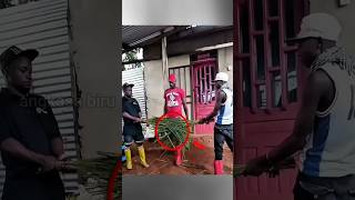 Download lagu African Honesty Ritual! Grass Can Tell If You're Lying. #uniquetradition #africa #viralshorts mp3