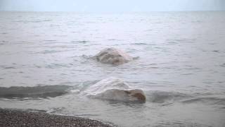 preview picture of video 'Jennifer Squires 30 - Summer's Serenity, Seascape Photography'
