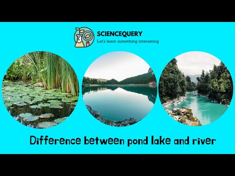 池、湖、川の違い