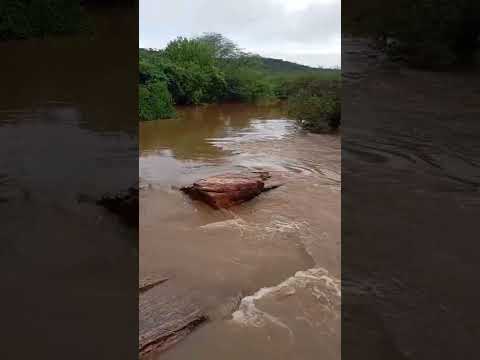 CONDADO PB 01/03/2026