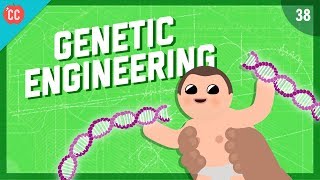 Changing the Blueprints of Life - Genetic Engineering: Crash Course Engineering #38