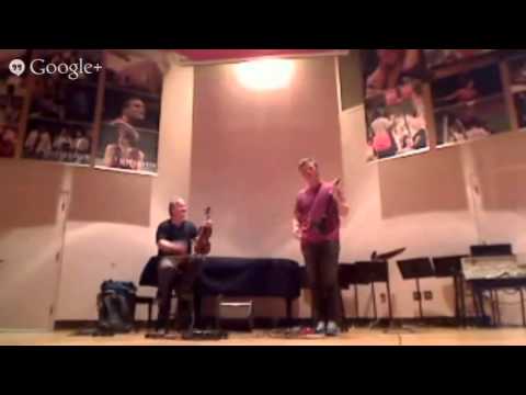 How to use Electric Violin and Gear- Robert Anderson and Christian Howes