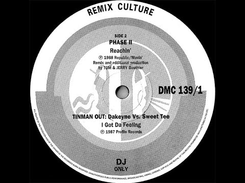 Tin Tin Out Feat Sweet Tee - The Feeling (Dakeyne Remix)