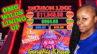 DRAGON LINK GENGHIS KHAN WILDS LINING UP 🎰