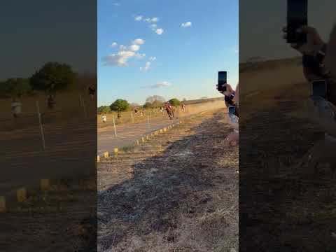 CORRIDA DE CAVALO EM GRAÇA IPUEIRA CE